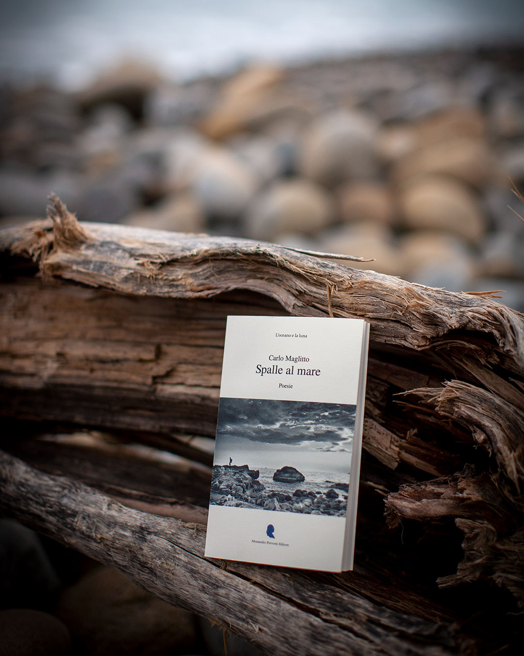 libro appoggiato su uno scoglio al mare