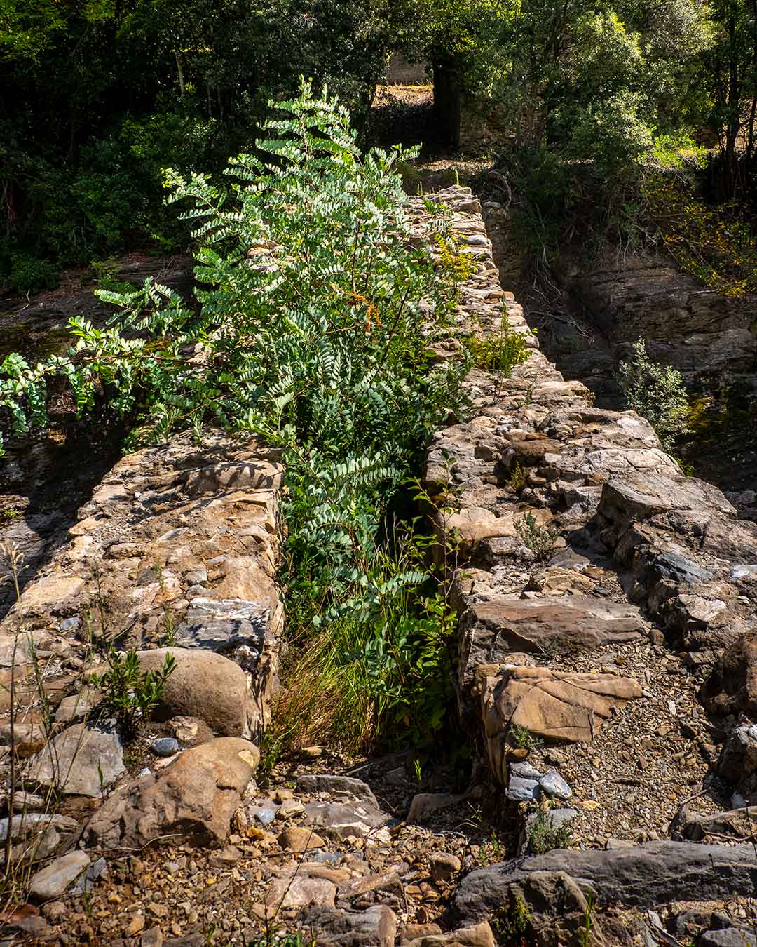 antico ponte in pietra