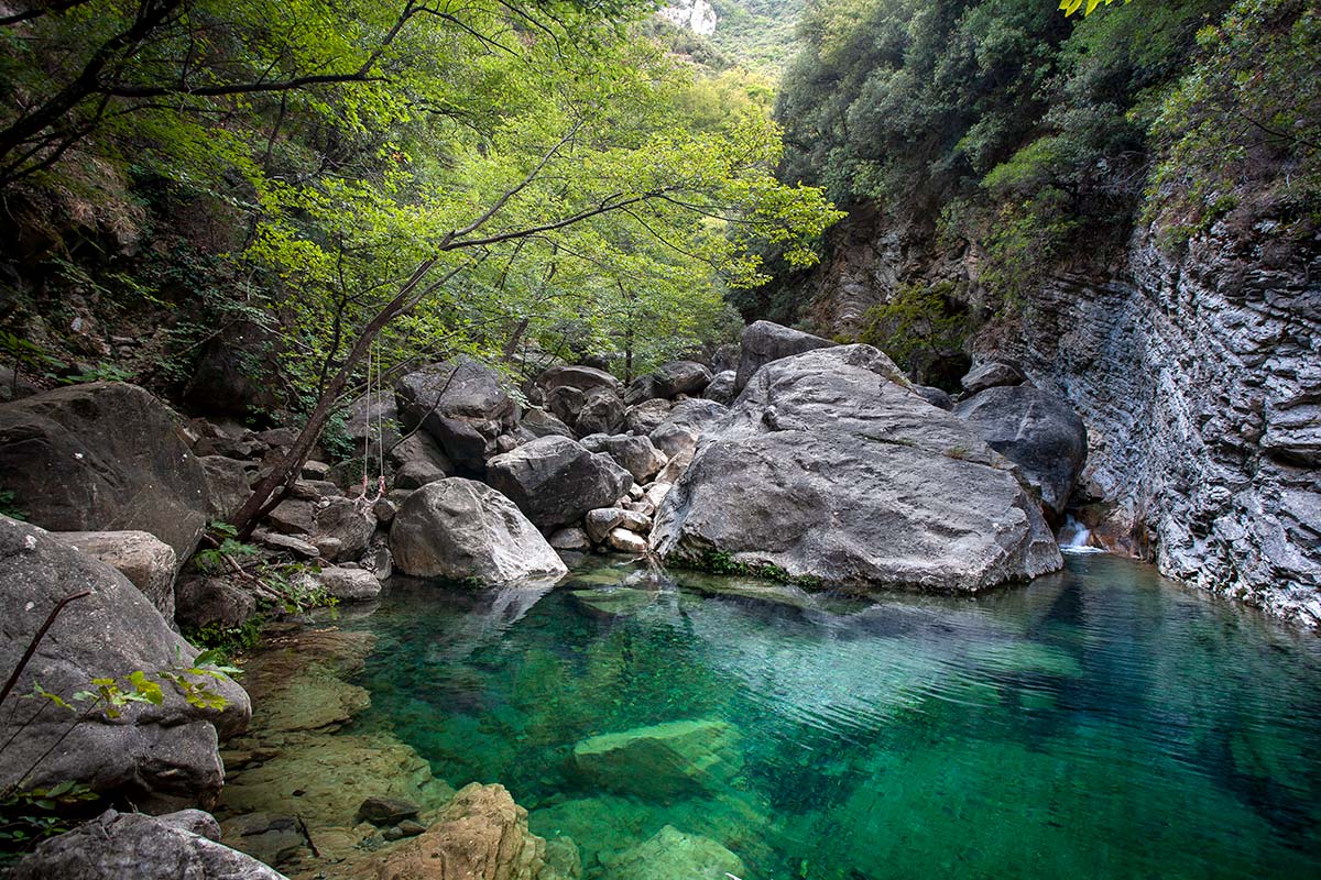 acqua verde in un torrente
