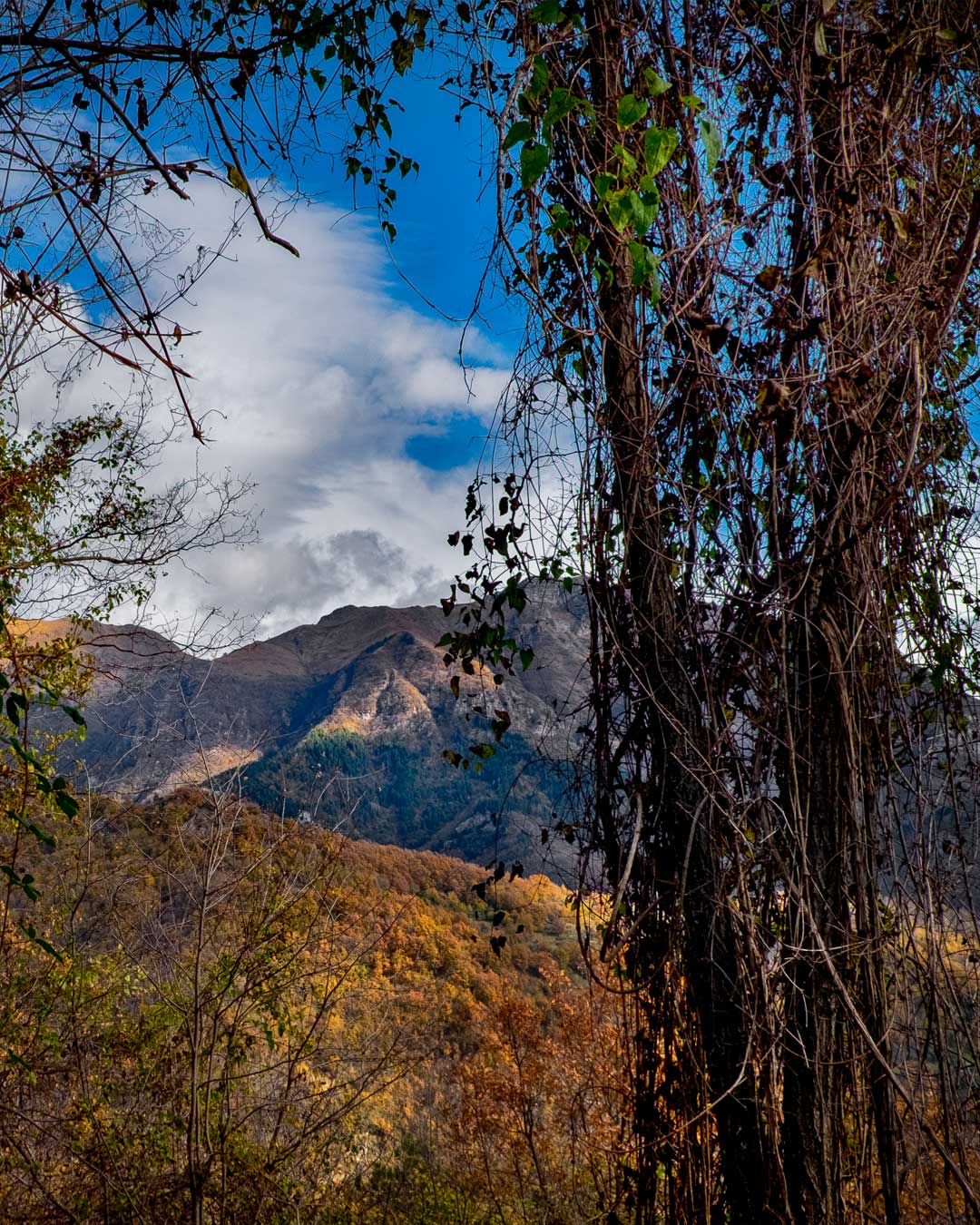 panorama montano autunnale