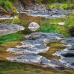 Primo piano di acqu stagnante con rocce affioranti in un verde torrente montano